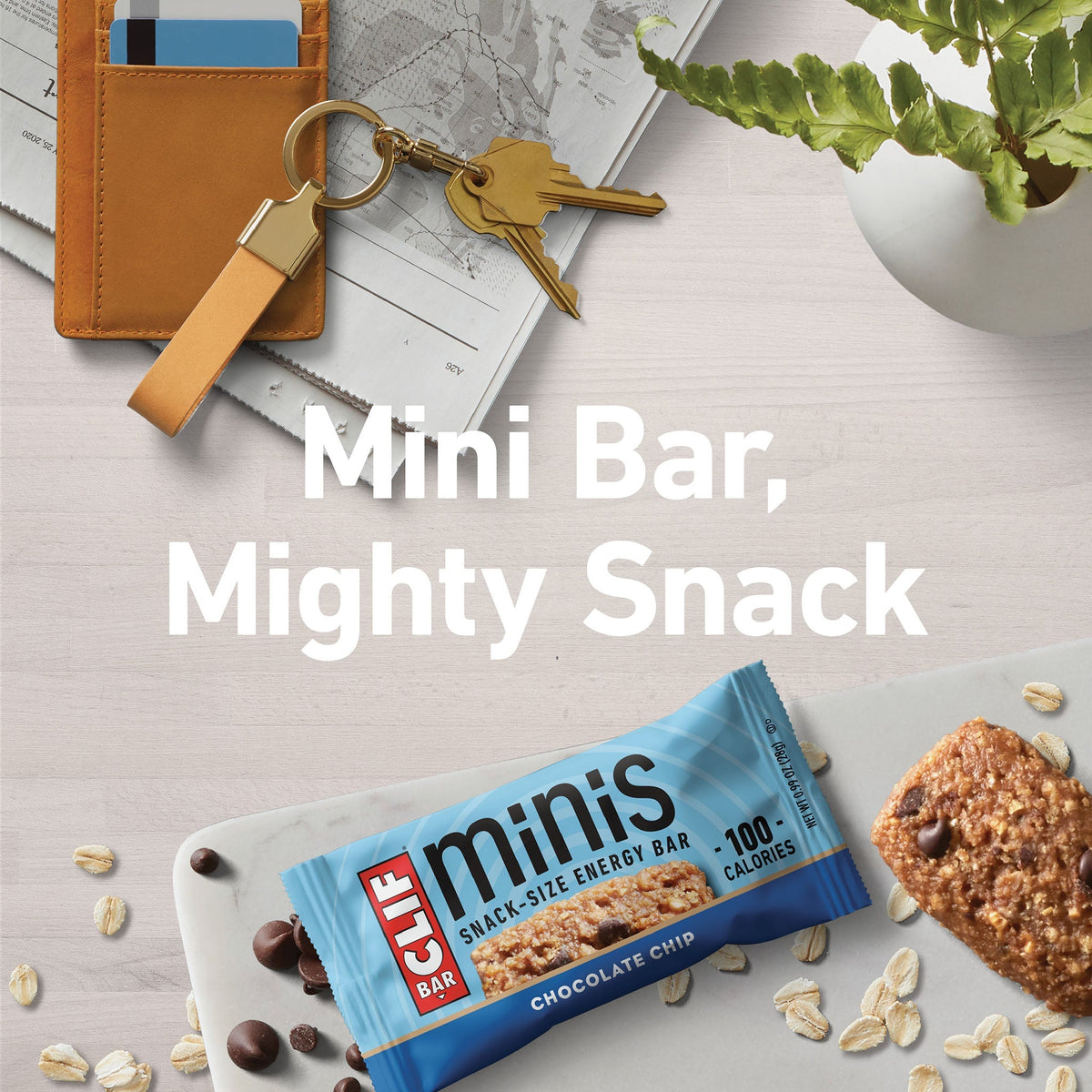 Chocolate Chip Minis
